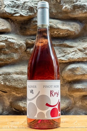 Pinot noir nero - pinot,