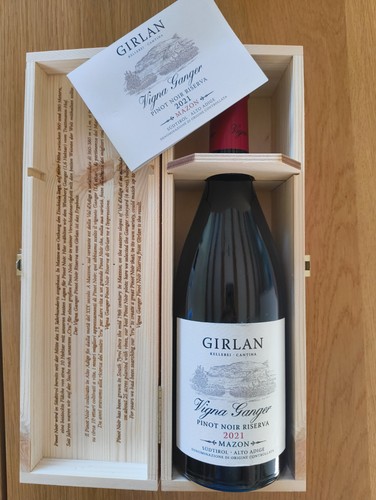 Vigna ganger 2021 mazzon - ganger, pinot