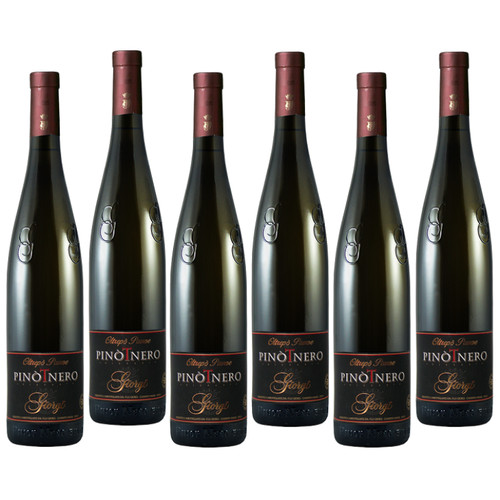 Giorgi pinot nero rosato - nero, vino