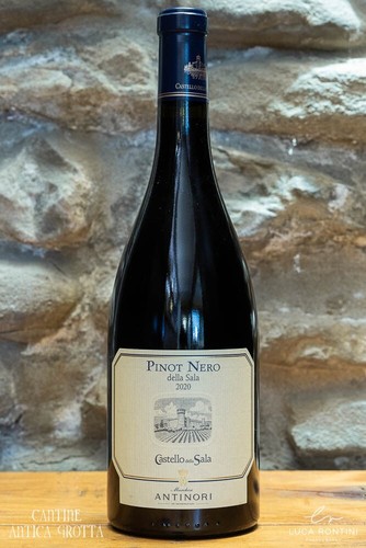 Pinot nero della sala - pinot, 2020