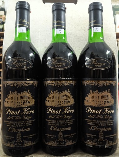 Pinot nero dell - nero, dell'alto