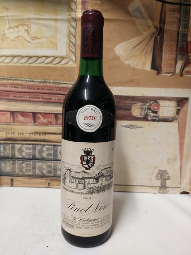 Vino 1970 pinot nero collavini - pinot,